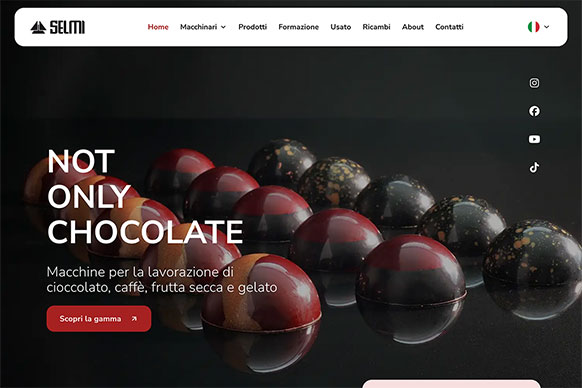 Anteprima del progetto Selmi